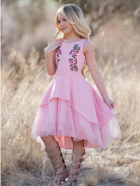 Joyfolie Pink Floral Embroidered Layered Dress